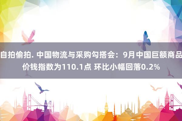 自拍偷拍. 中国物流与采购勾搭会：9月中国巨额商品价钱指数为110.1点 环比小幅回落0.2%