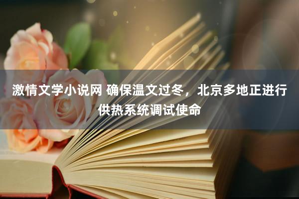 激情文学小说网 确保温文过冬，北京多地正进行供热系统调试使命