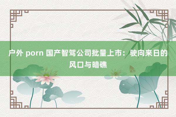 户外 porn 国产智驾公司批量上市：驶向来日的风口与暗礁