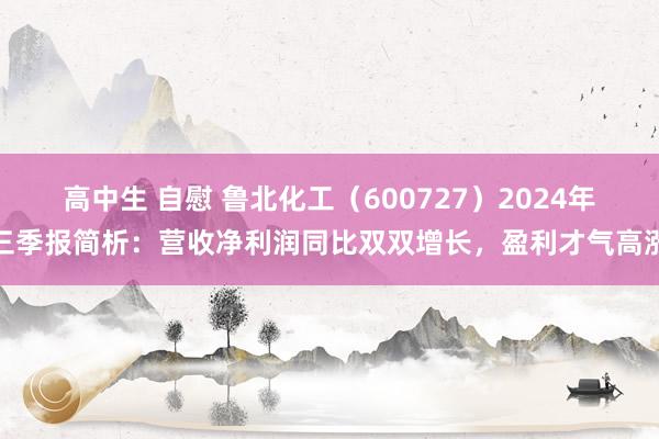 高中生 自慰 鲁北化工（600727）2024年三季报简析：营收净利润同比双双增长，盈利才气高涨