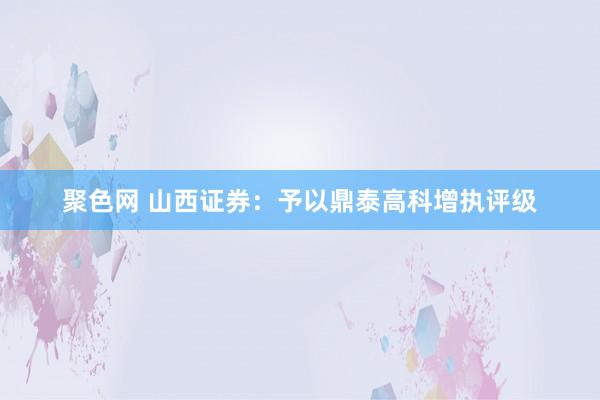 聚色网 山西证券：予以鼎泰高科增执评级