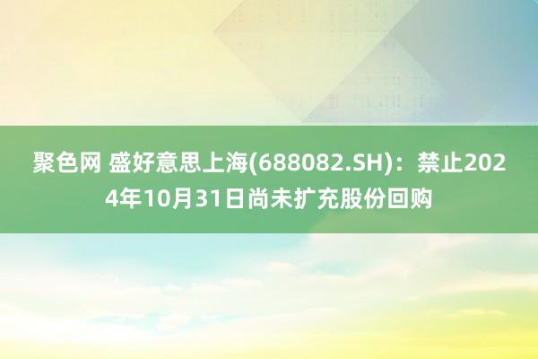 聚色网 盛好意思上海(688082.SH)：禁止2024年10月31日尚未扩充股份回购