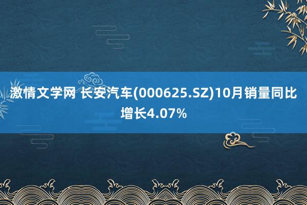 激情文学网 长安汽车(000625.SZ)10月销量同比增长4.07%