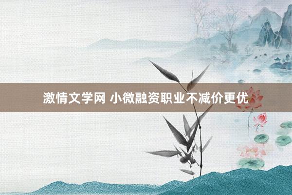 激情文学网 小微融资职业不减价更优