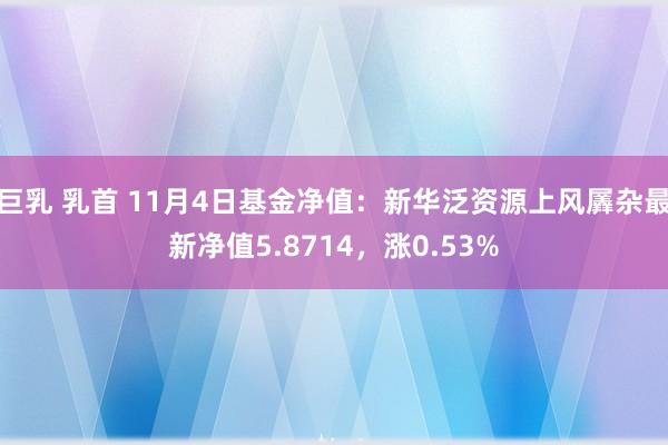 巨乳 乳首 11月4日基金净值：新华泛资源上风羼杂最新净值5.8714，涨0.53%