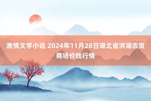 激情文学小说 2024年11月28日湖北省洪湖农贸商场价钱行情