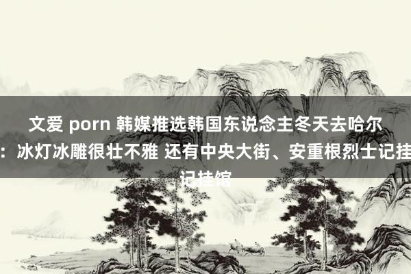 文爱 porn 韩媒推选韩国东说念主冬天去哈尔滨：冰灯冰雕很壮不雅 还有中央大街、安重根烈士记挂馆