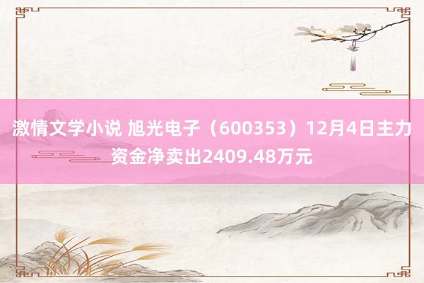 激情文学小说 旭光电子（600353）12月4日主力资金净卖出2409.48万元