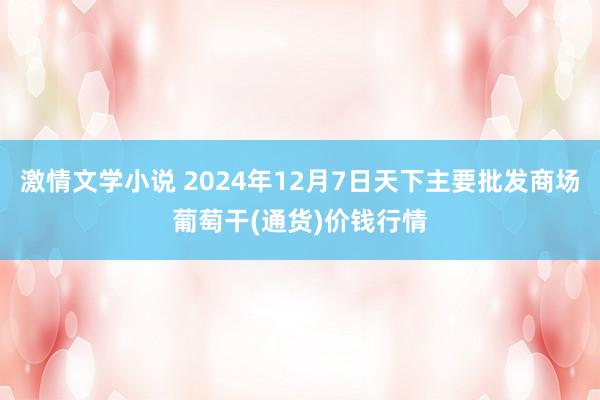 激情文学小说 2024年12月7日天下主要批发商场葡萄干(通货)价钱行情