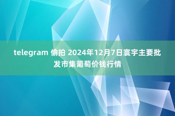 telegram 偷拍 2024年12月7日寰宇主要批发市集葡萄价钱行情