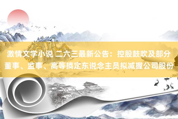 激情文学小说 二六三最新公告：控股鼓吹及部分董事、监事、高等搞定东说念主员拟减握公司股份