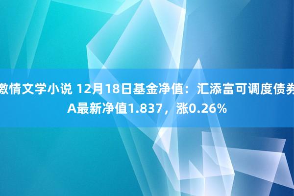 激情文学小说 12月18日基金净值：汇添富可调度债券A最新净值1.837，涨0.26%