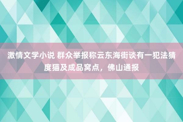 激情文学小说 群众举报称云东海街谈有一犯法猜度猫及成品窝点，佛山通报