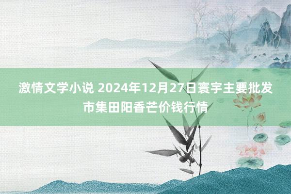 激情文学小说 2024年12月27日寰宇主要批发市集田阳香芒价钱行情