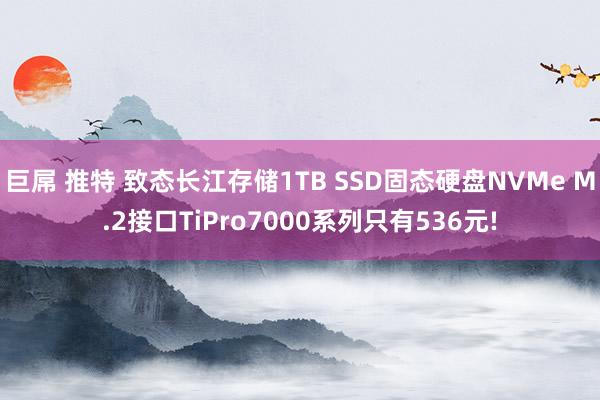 巨屌 推特 致态长江存储1TB SSD固态硬盘NVMe M.2接口TiPro7000系列只有536元!