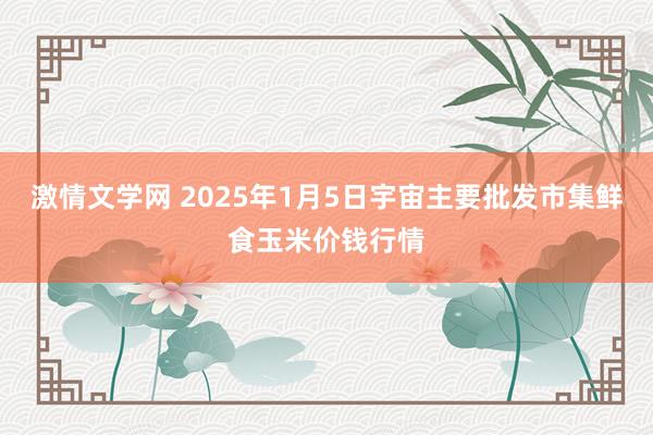 激情文学网 2025年1月5日宇宙主要批发市集鲜食玉米价钱行情