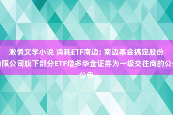 激情文学小说 消耗ETF南边: 南边基金搞定股份有限公司旗下部分ETF增多华金证券为一级交往商的公告