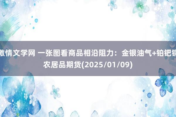 激情文学网 一张图看商品相沿阻力：金银油气+铂钯铜农居品期货(2025/01/09)