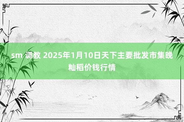 sm 调教 2025年1月10日天下主要批发市集晚籼稻价钱行情